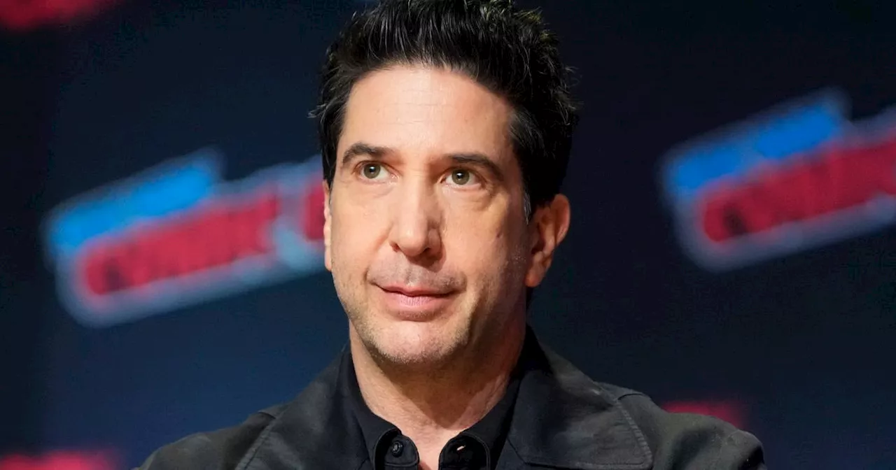 David Schwimmer Reflects on 'Friends' Legacy and the Enduring Appeal of 'Pivot'