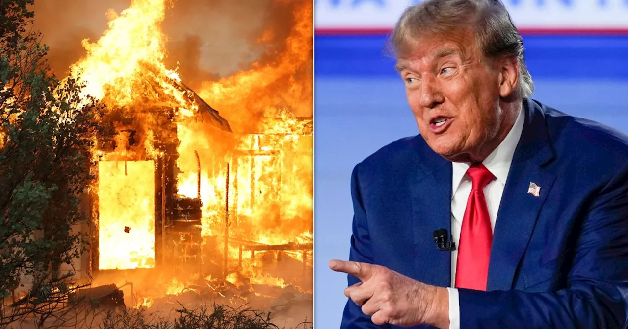 Trump Goes On Puzzling Truth Social Rant About California Wildfires