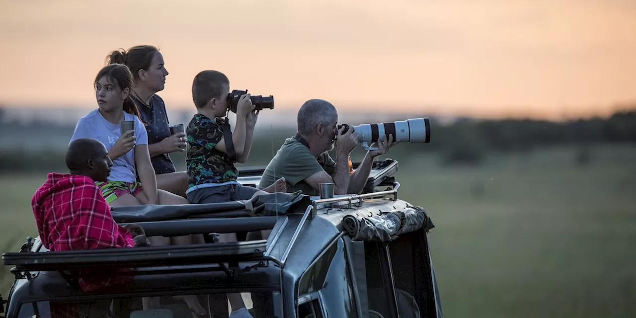 Uber Safari a Cape Town: L'avventura più semplice