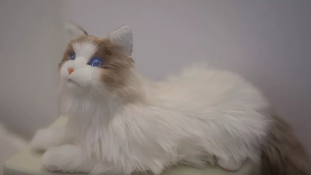 MarsCat: The World's First Bionic Pet Cat