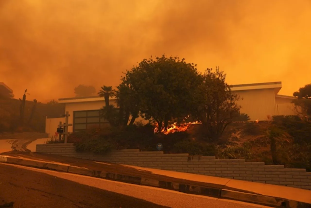 Un incendio boschivo a Los Angeles costringe migliaia di persone alla fuga