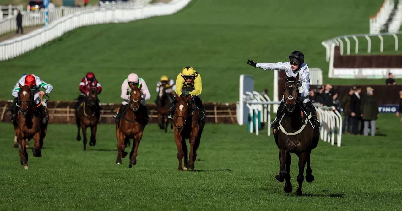 Constitution Hill Biggest Liability for BetVictor at Cheltenham Festival