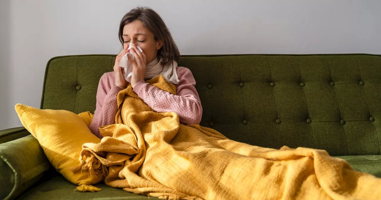 Three major differences between cold and flu as HSE issue appeal to public