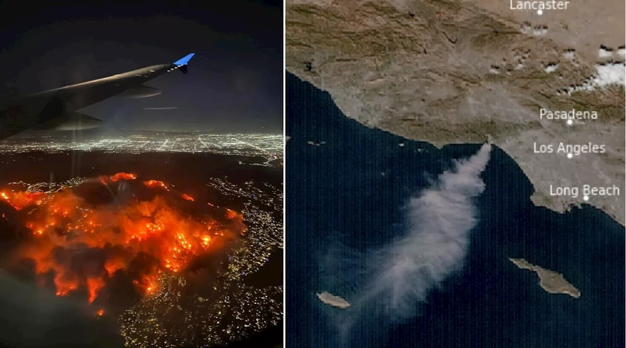 Incêndios em Los Angeles: Imagens aéreas mostram magnitude da tragédia