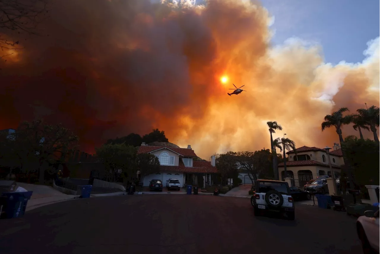 Incêndios em Los Angeles: Celebridades Ficam Sem Casa e Eventos de Hollywood Cancelados