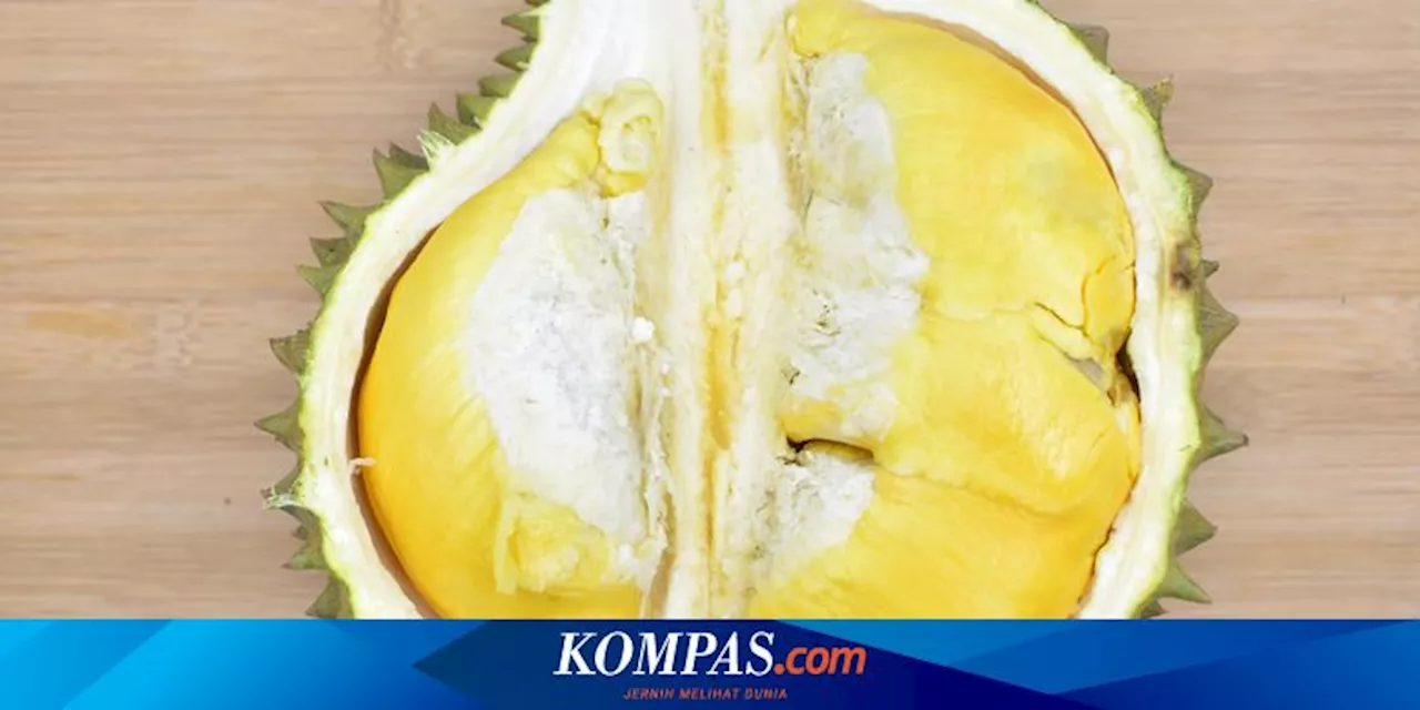 Manfaat Durian untuk Kesehatan