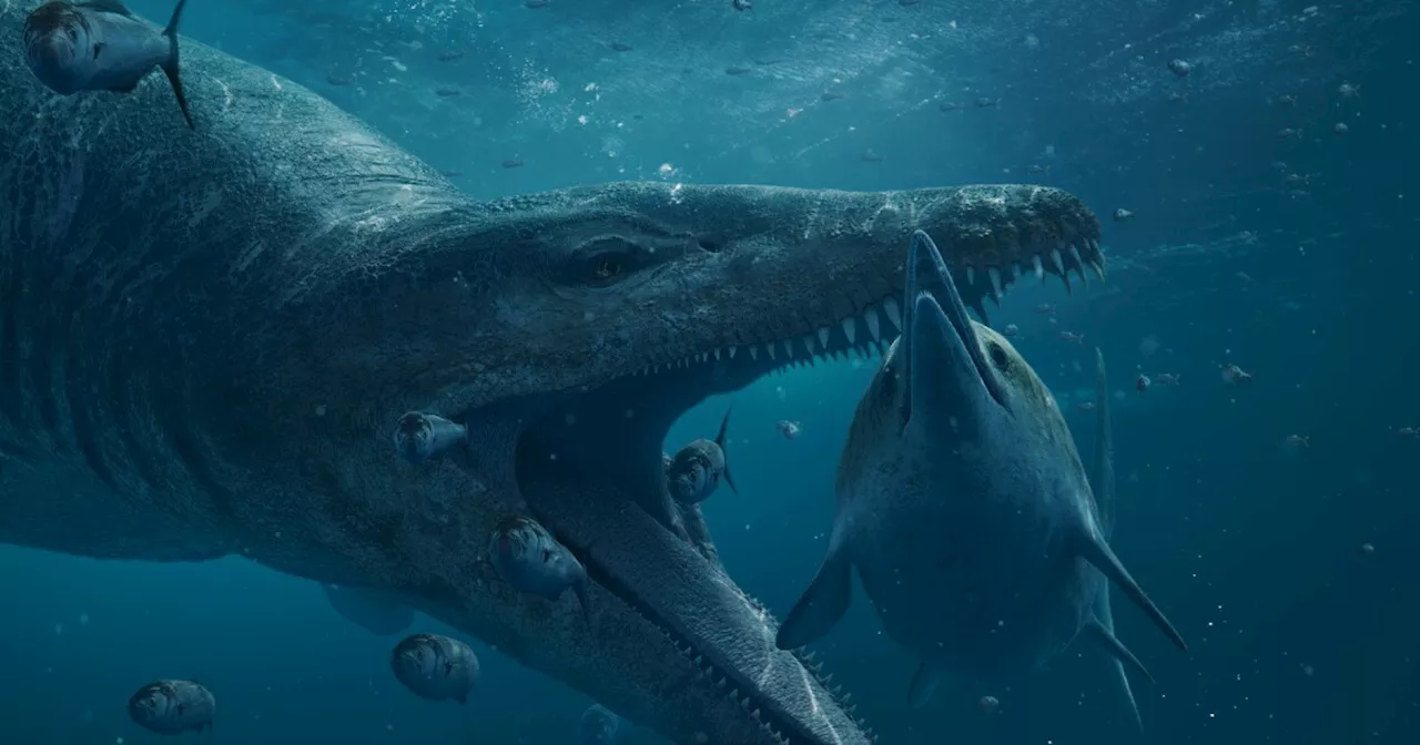 Fossil of a Giant Pliosaur Unearthed