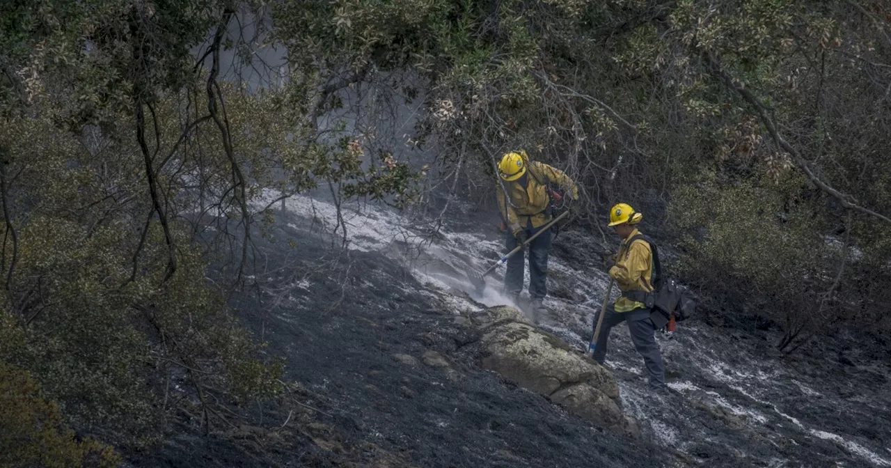 Northern California Fire Crews Assist in Drought-Stricken Southern California