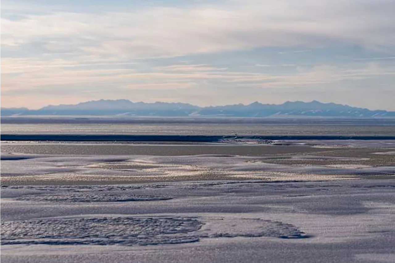 Alaska Sues Feds Over Arctic Refuge Lease Sale