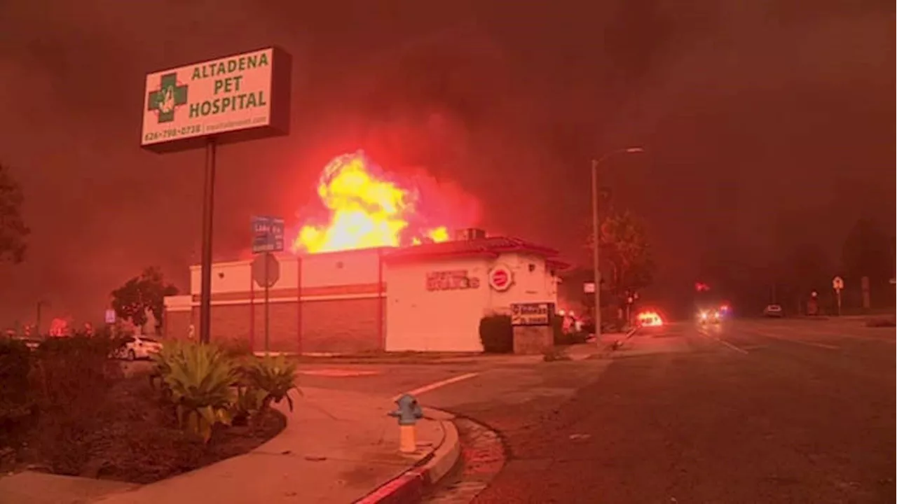 Videos show deadly wildfires burning through Los Angeles area