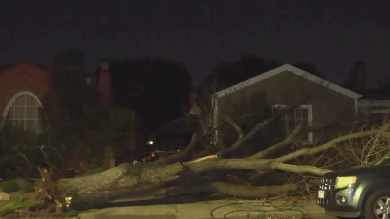 Bay Area Windstorm Causes Power Outages, Road Closures, and Wildfire Havoc