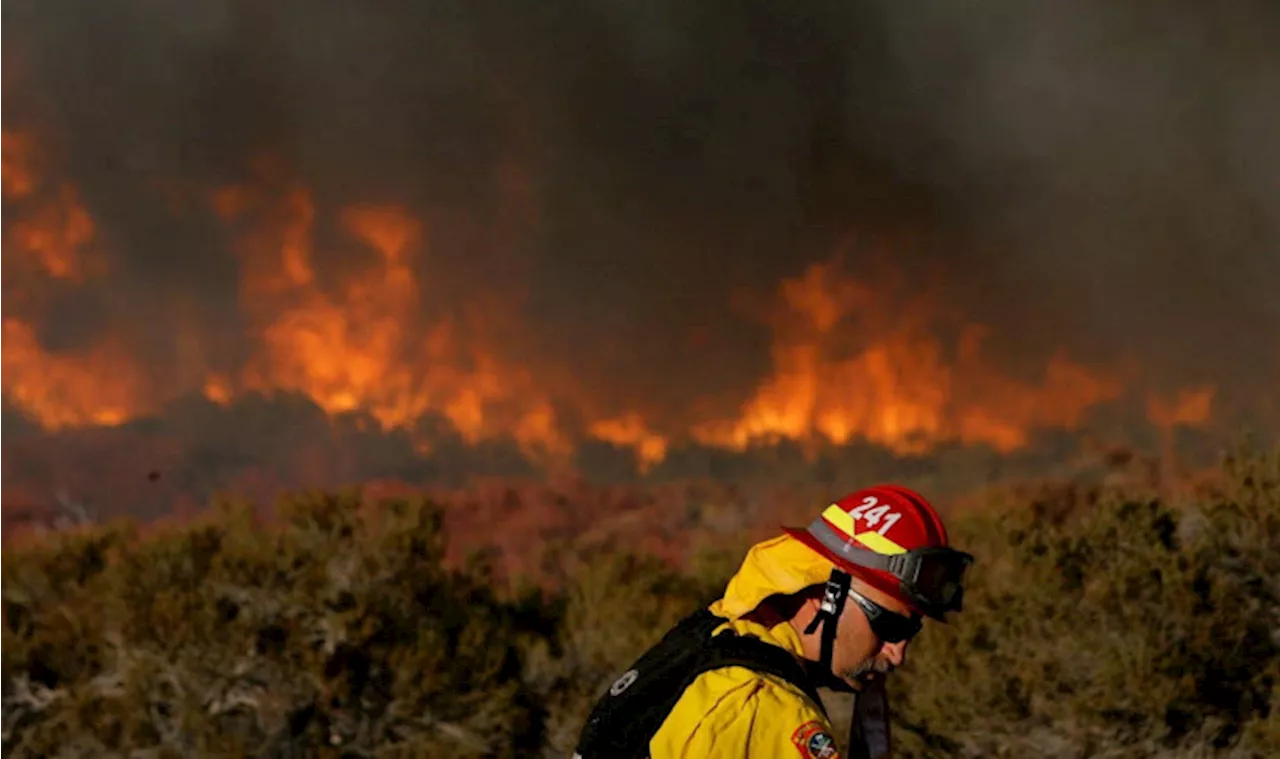 Eaton Fire Grows to Over 200 Acres, Evacuations Ordered