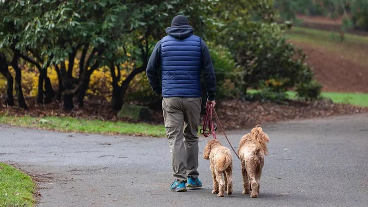 Puffy Vests: A Guide to Choosing the Right One