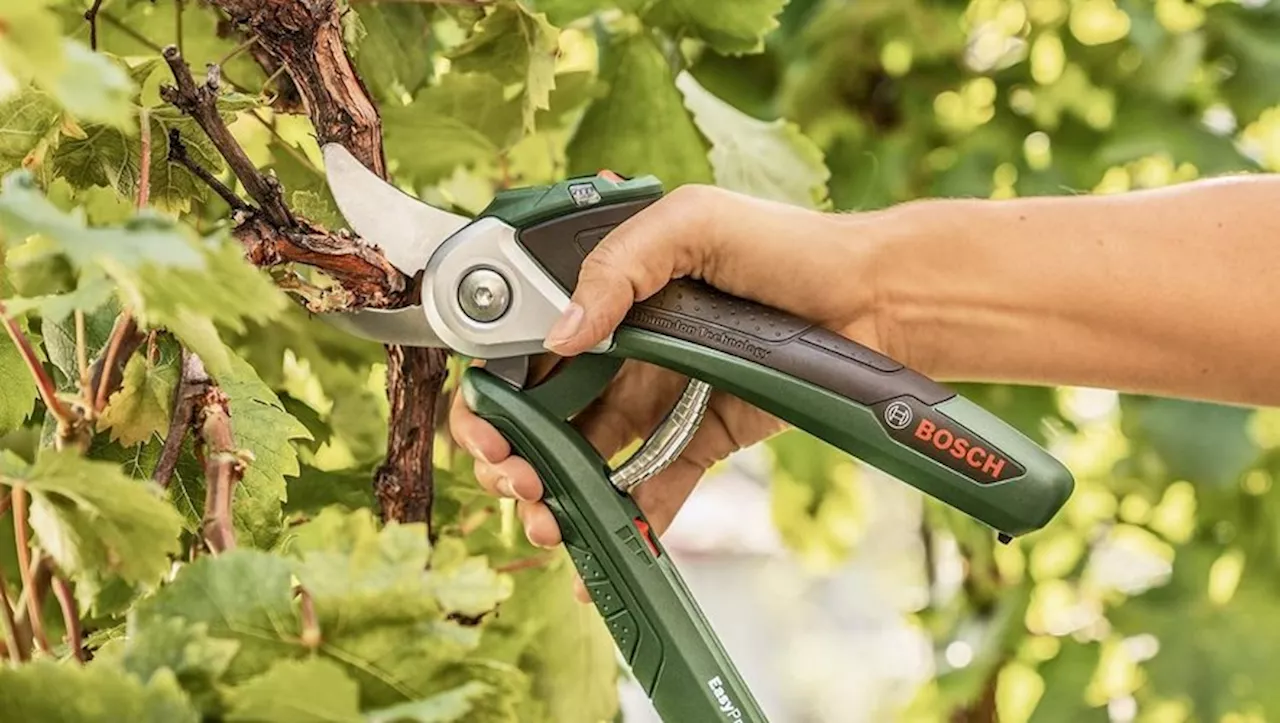 Ce sécateur sans fil Bosch sera parfait pour prendre soin de votre jardin