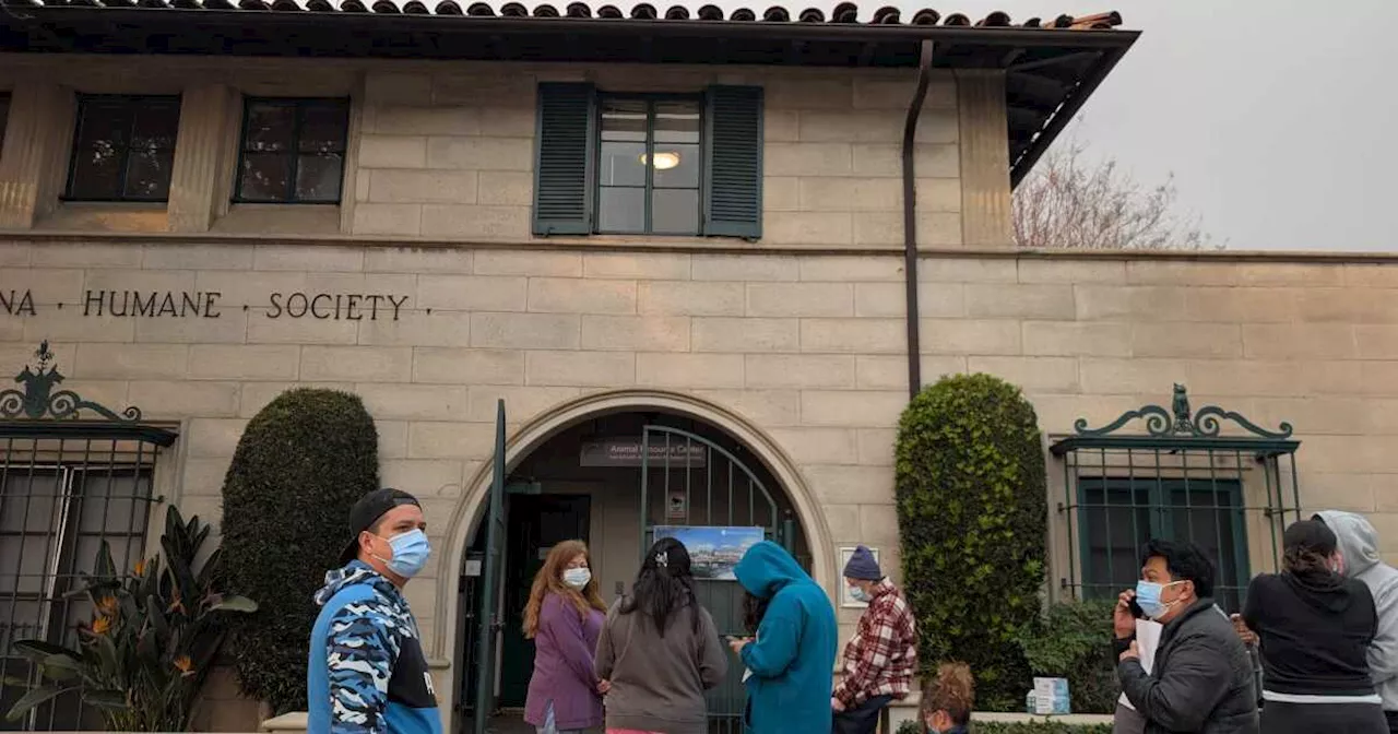 Eaton Fire Evacuees Shelter Pets at Pasadena Humane Society