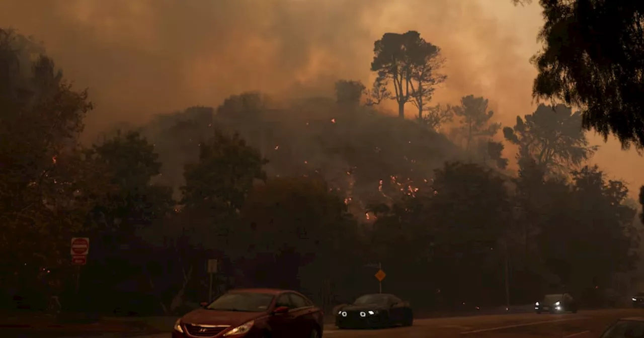 Estado de Emergencia en California por Incendio Desatado en Pacific Palisades