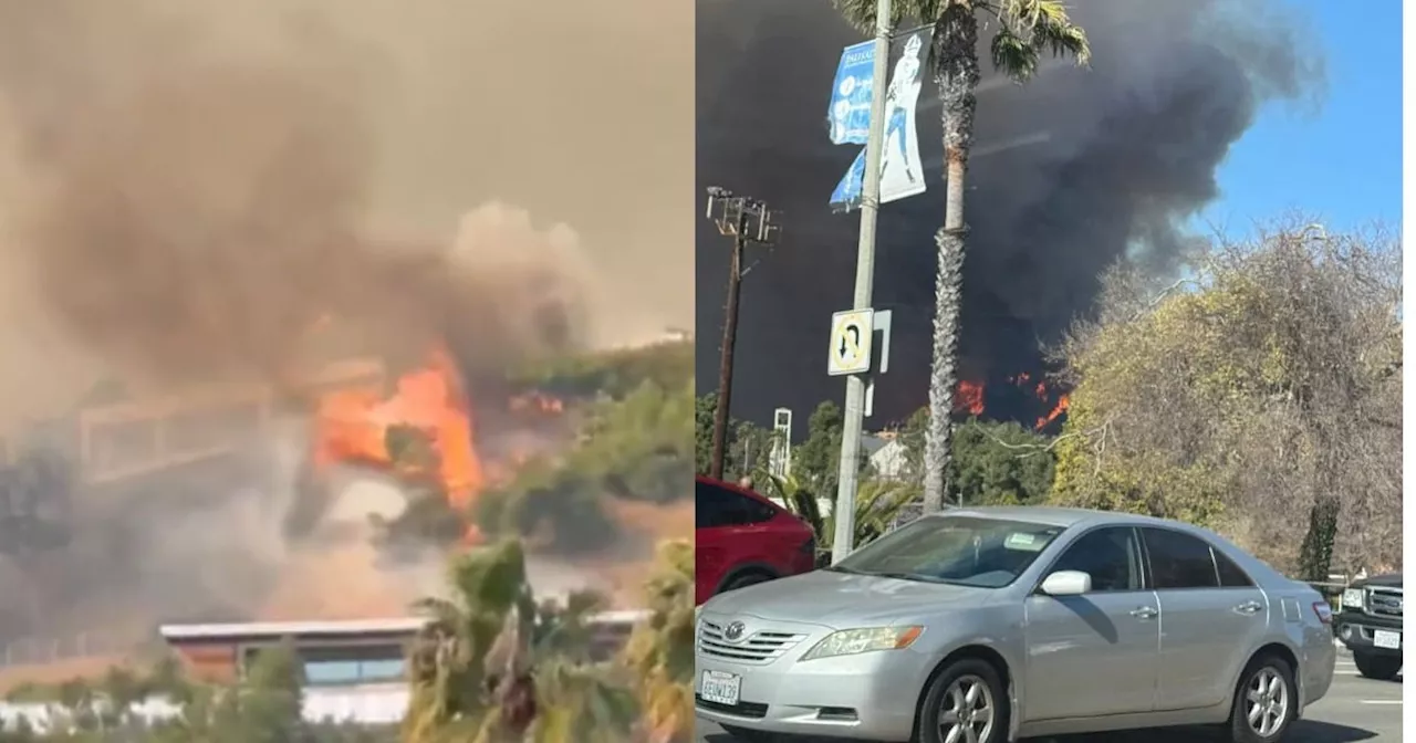 Fuerte incendio está fuera de control en Los Ángeles