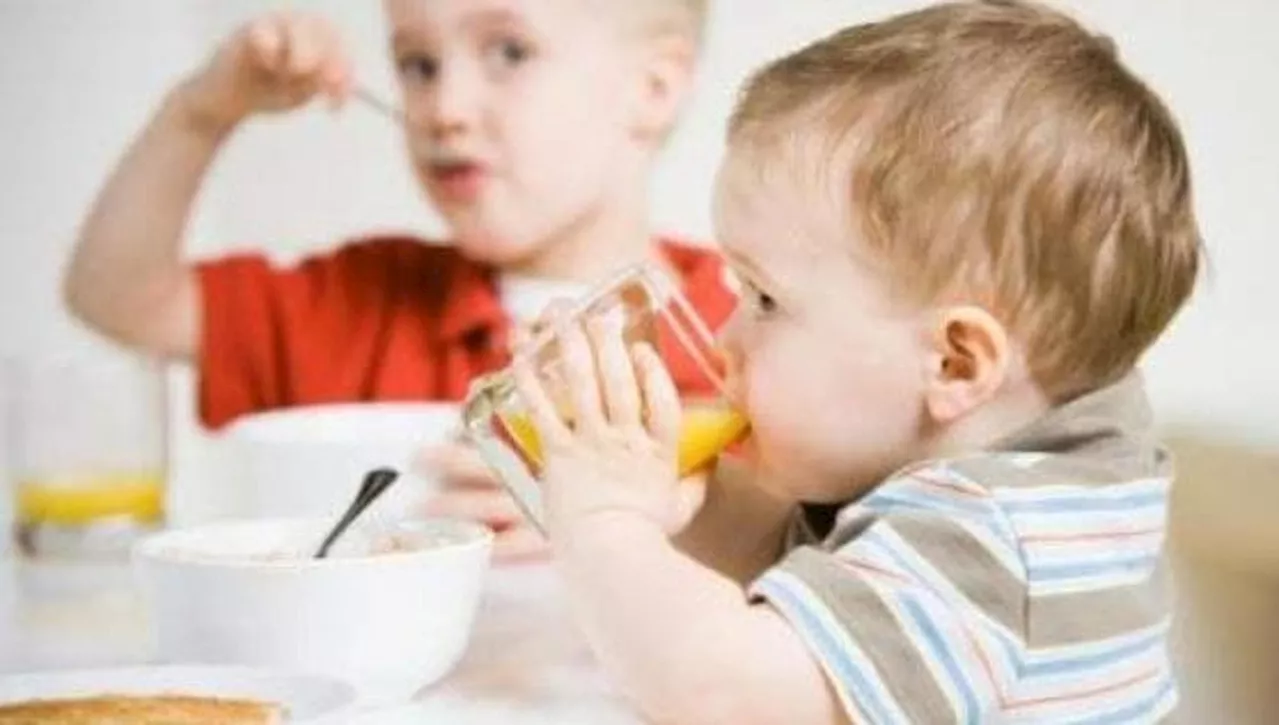 Nuove Linee Guida sul Piombo negli Alimenti per Bambini negli USA