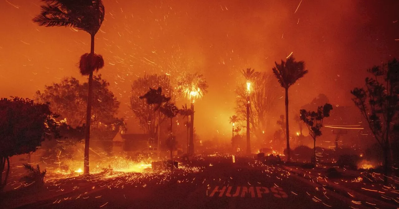 Wildfire Ravages Los Angeles Hills, Forces Thousands to Flee