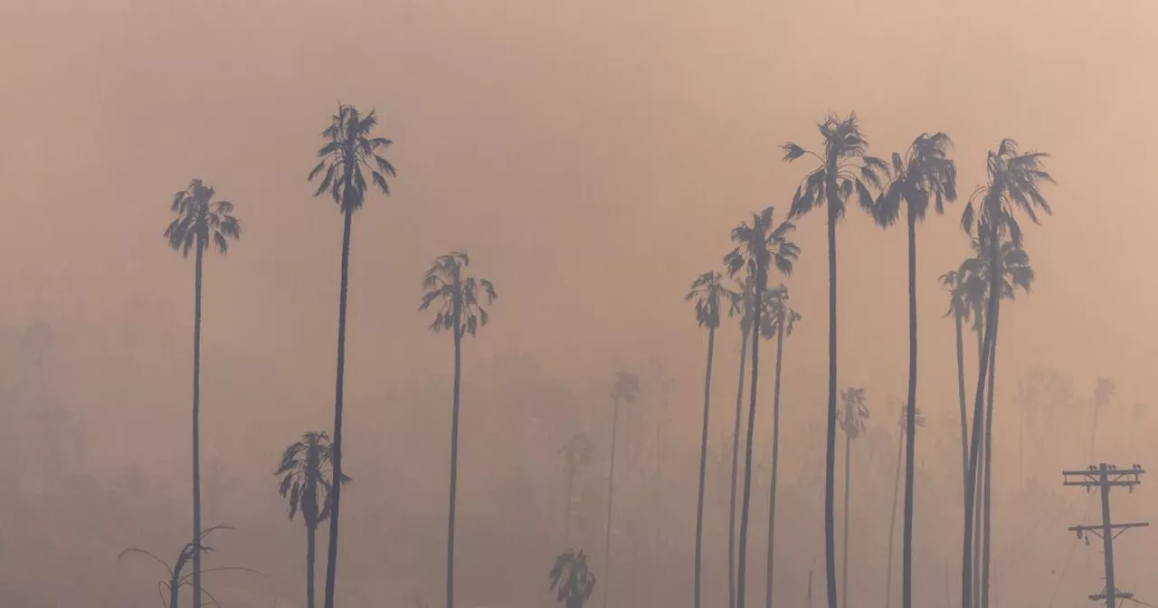 Wildfire Smoke: Protecting Your Health