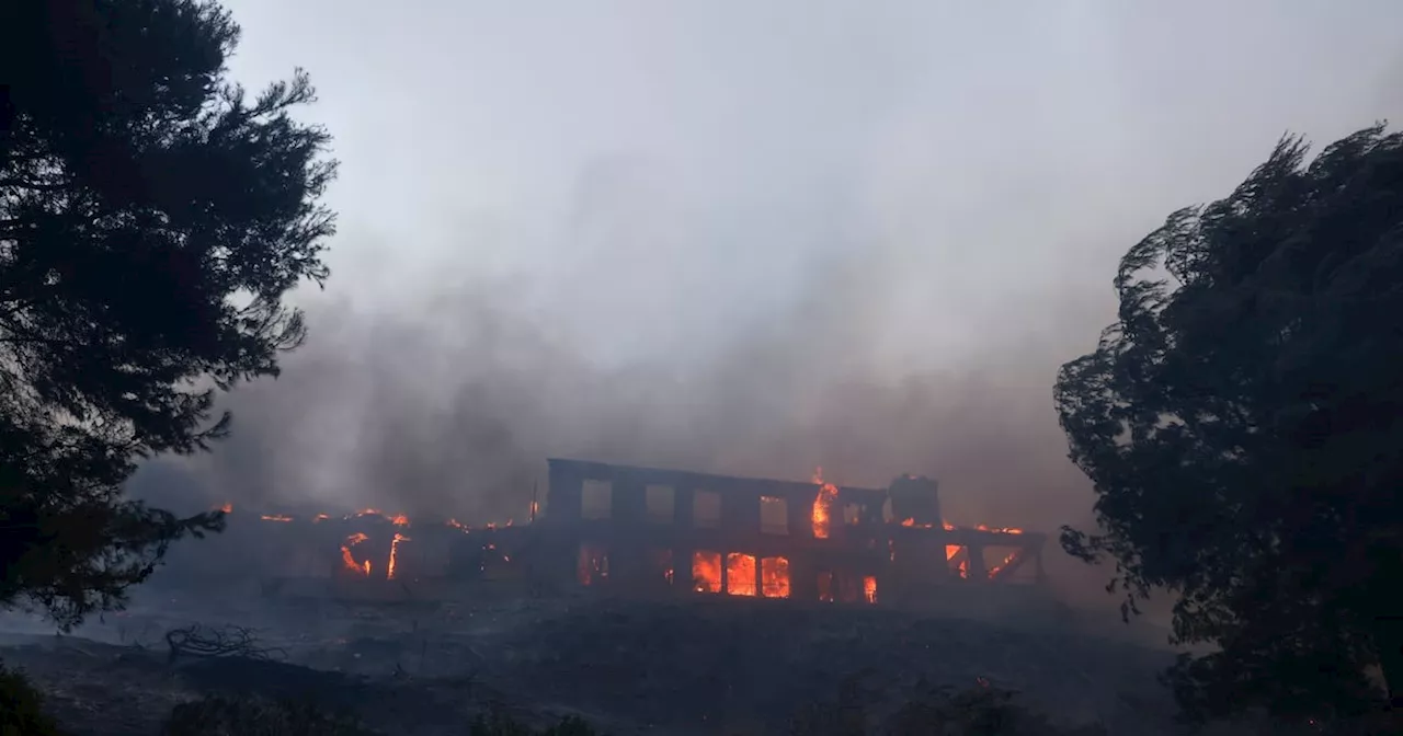 Consejos de seguridad para evacuaciones por incendio forestal