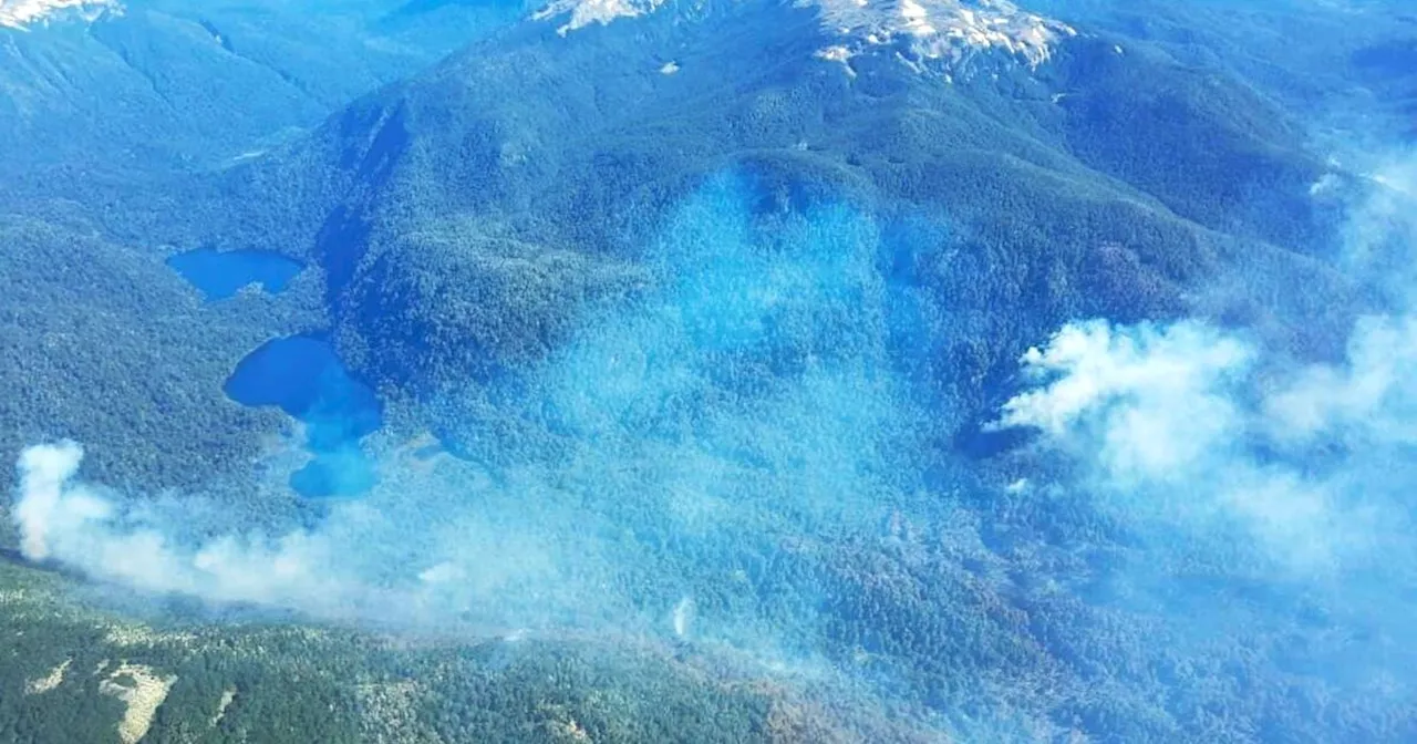 Incendios Forestales Siguen Activos en Parques Nacionales de la Patagonia Argentina