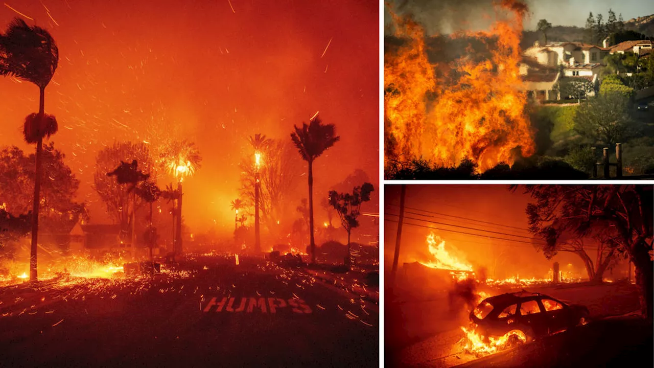 Uncontainable Wildfires Ravage Pacific Palisades, Malibu at Risk