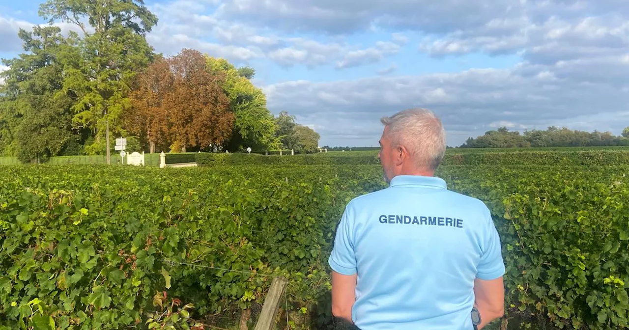 Le corps d’un homme découvert enterré dans un jardin près de Libourne, une garde à vue en cours