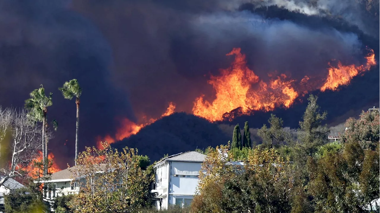 Incendies à Los Angeles : les vents de Santa Ana, ce phénomène météo qui attise les flammes