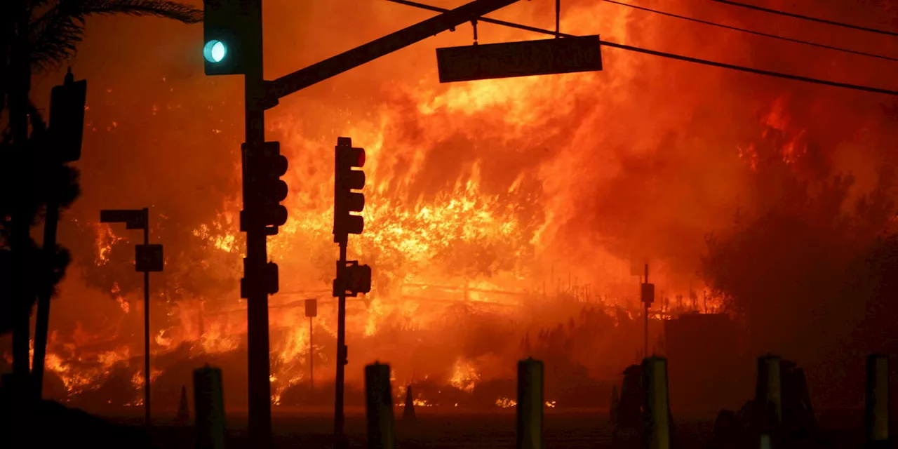 Incendie de Palisades à Los Angeles: 30 000 personnes évacuées