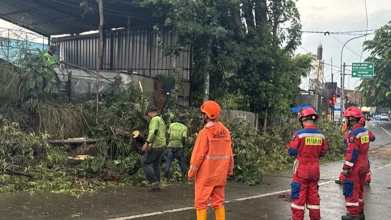 Cegah Pohon Tumbang, Pemprov Jakarta Pangkas 82.571 Pohon Sepanjang 2024