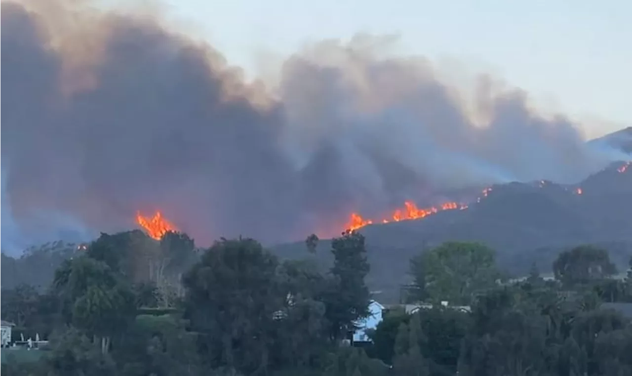 Kebakaran Hutan Los Angeles Membakar 1.200 Hektare, Ribuan Dievakuasi