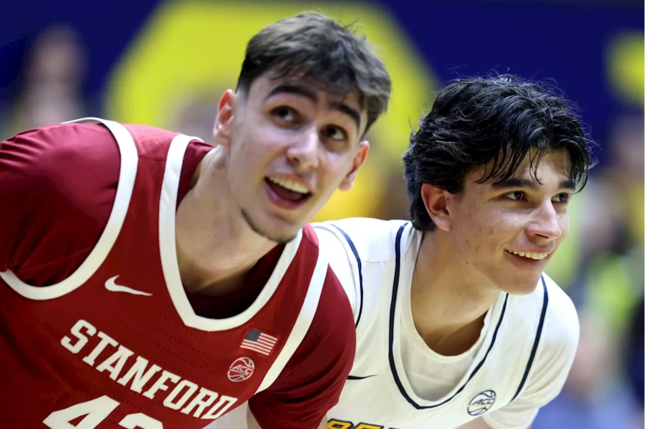 Stanford and Cal's Raynaud and Stojakovic Shine in ACC Debut