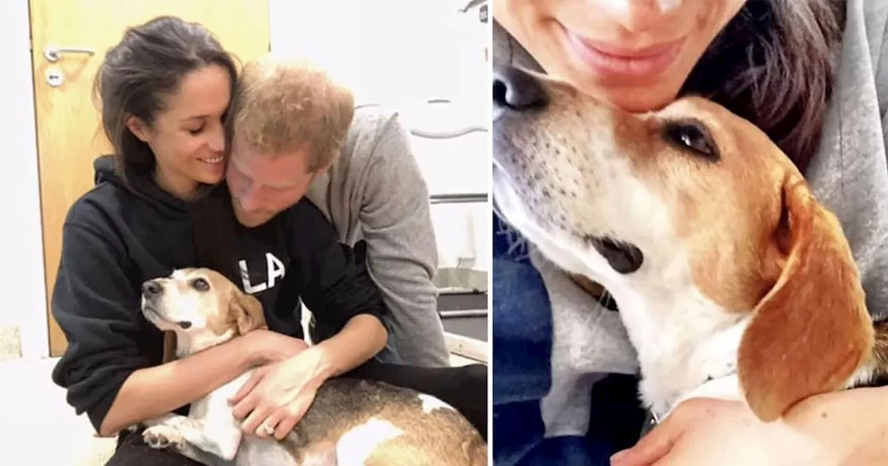 Archie and Lilibet's touching tribute after death of Meghan's dog