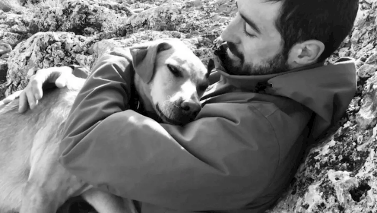 Caméraman dans les Pyrénées : Gérard Olivié retrouvé mort après une chute