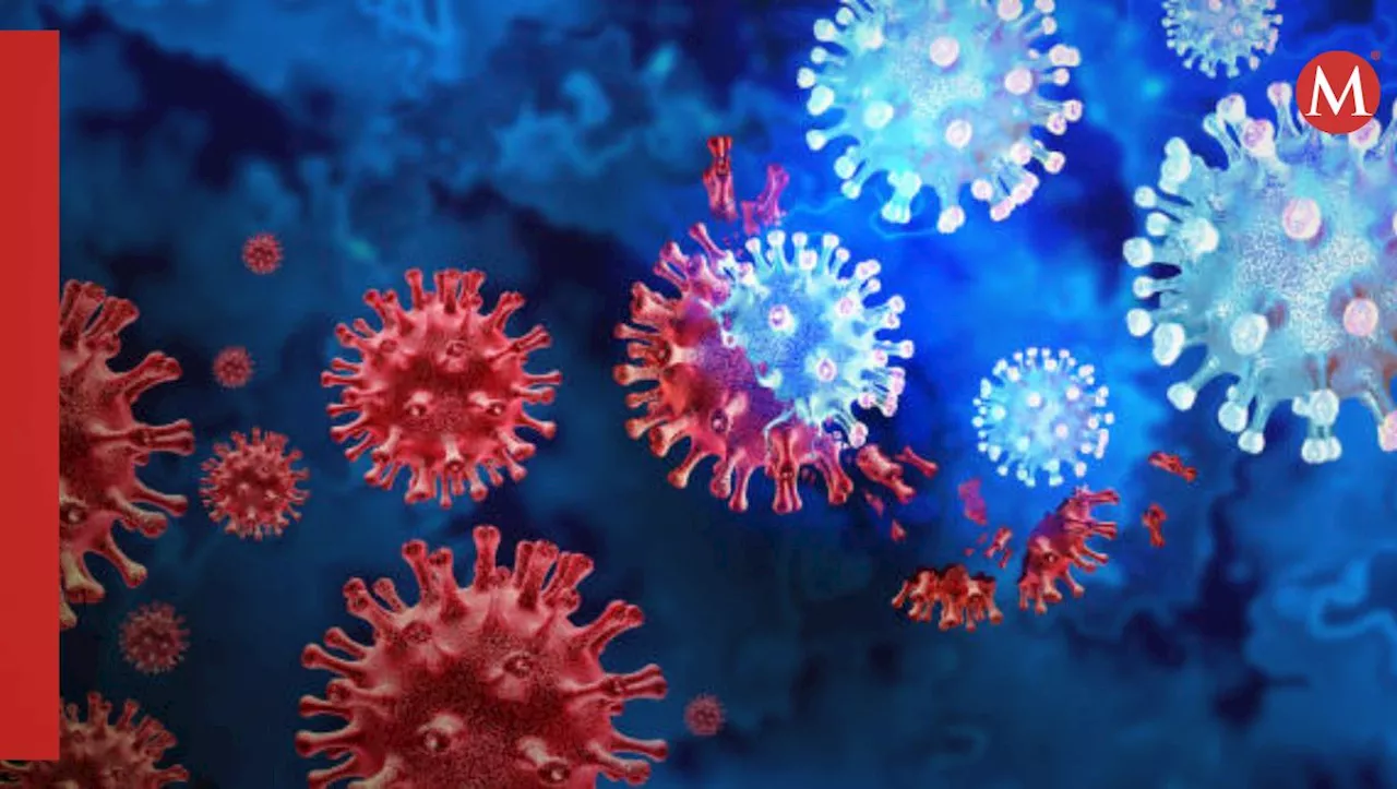 Cuándo y dónde fue detectado por primera vez el virus Metapneumovirus humano (HMPV)