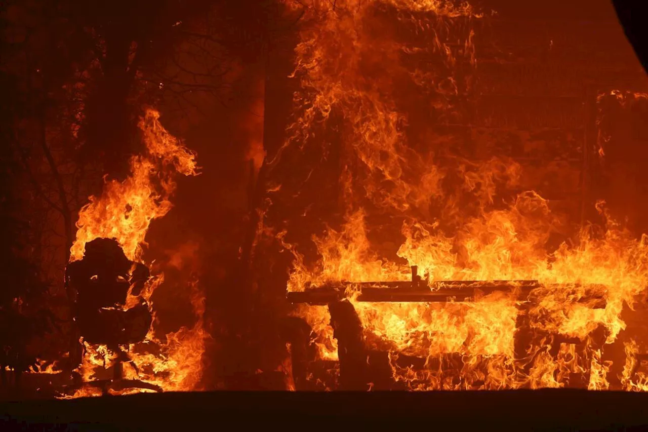 Incendios Forestales Devastadores en Los Ángeles