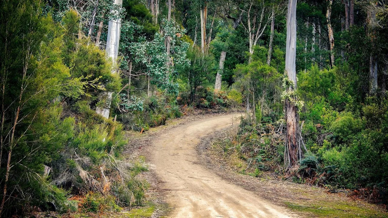 Australien feiert Wunder: Vermisster Wanderer Hadi Nazari nach 13 Tagen lebend gefunden