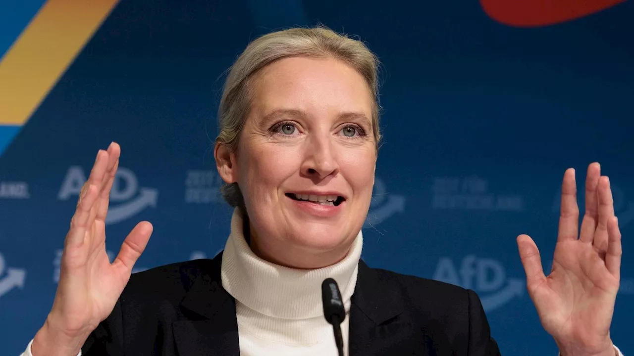 Musk-Weidel-Gespräch: Illegale Parteispende?