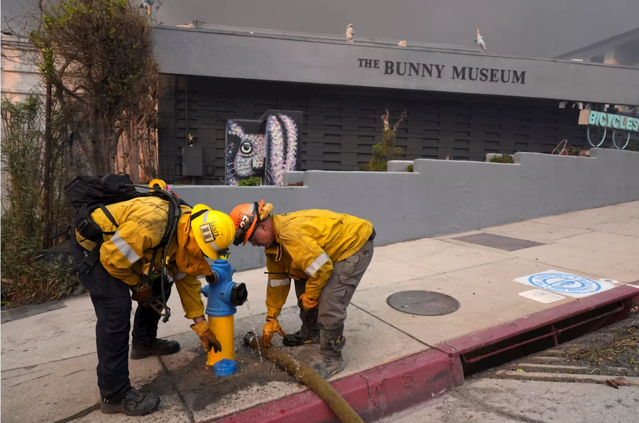 Dry Hydrants hamper Wildfire Fight in Los Angeles