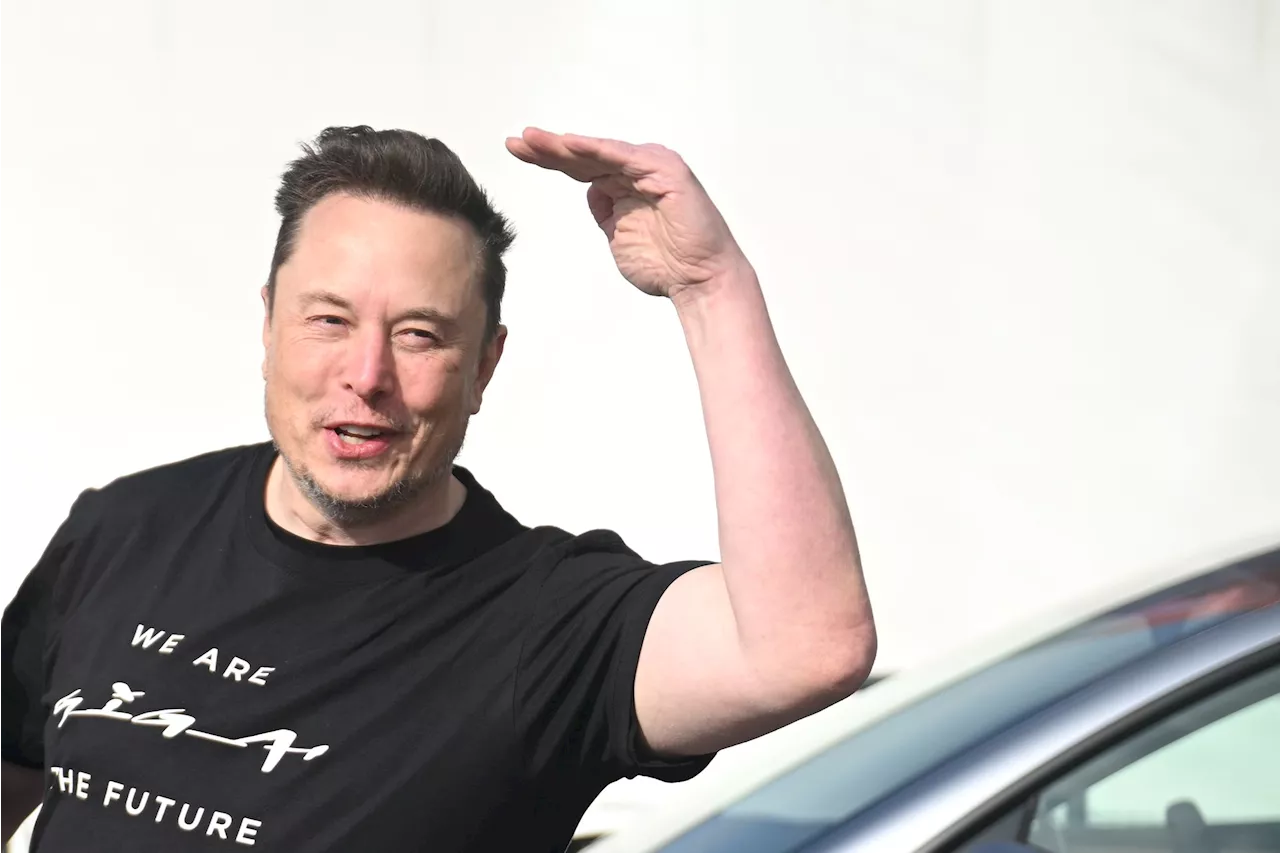 Elon Musks Vater: Hat der Tesla-Chef Interesse an Liverpool?