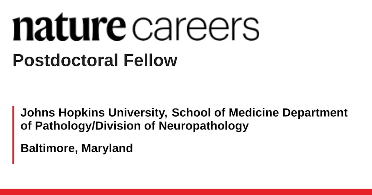 Postdoctoral Fellow Positions in Molecular Mechanisms of Neural Injury and Repair