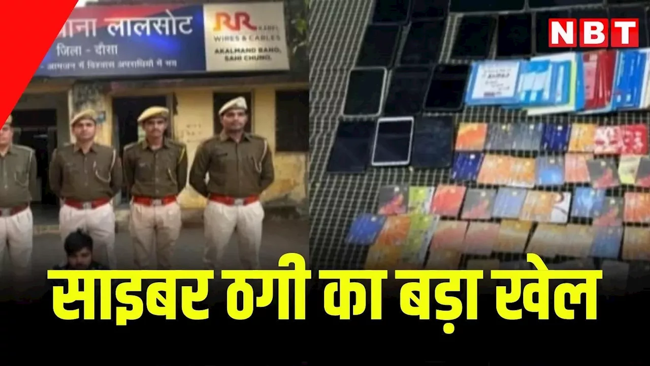 साइबर ठग को दौसा पुलिस ने किया गिरफ्तार