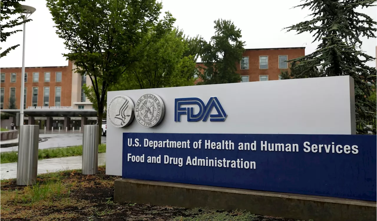 FDA Approves Wave of New Treatments in 2024