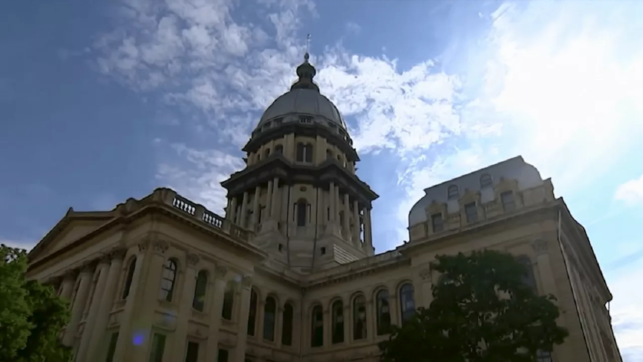 Illinois Passes Bill Requiring Gun Confiscation in Domestic Abuse Cases