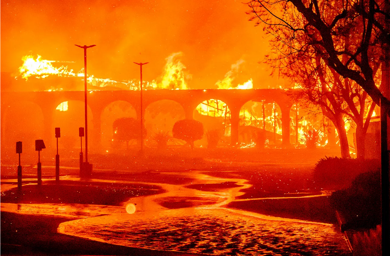 Pasadena Jewish Temple and Center Destroyed in Eaton Fire