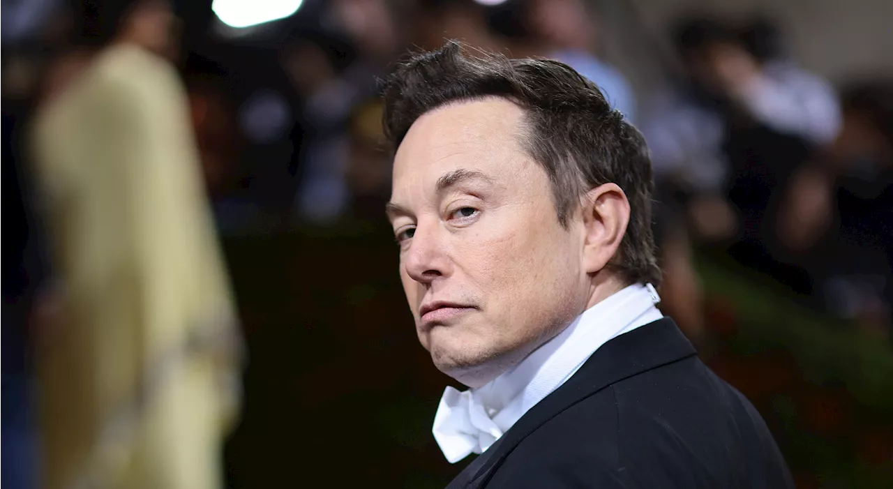 Elon Musk’s X Platform Amplifies Far-Right Voices in Europe