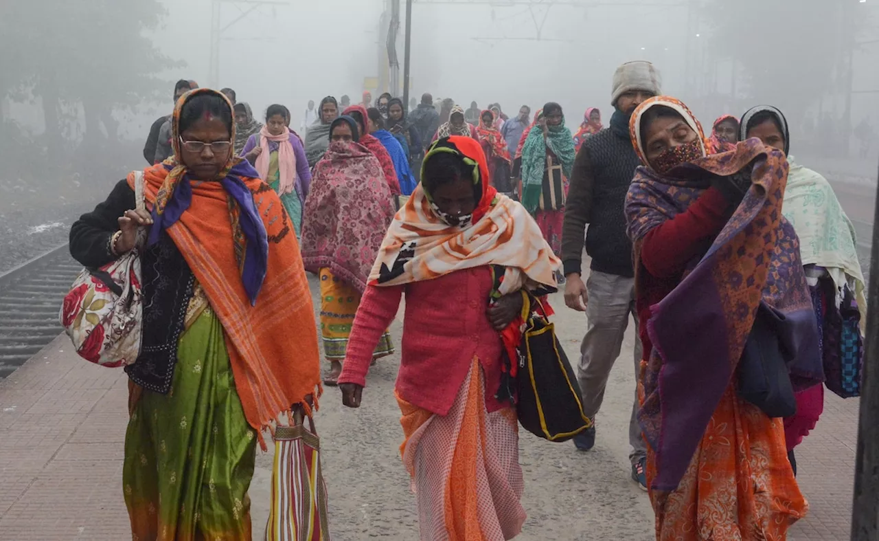 ठंड और कोहरे का कहर जारी, यातायात प्रभावित