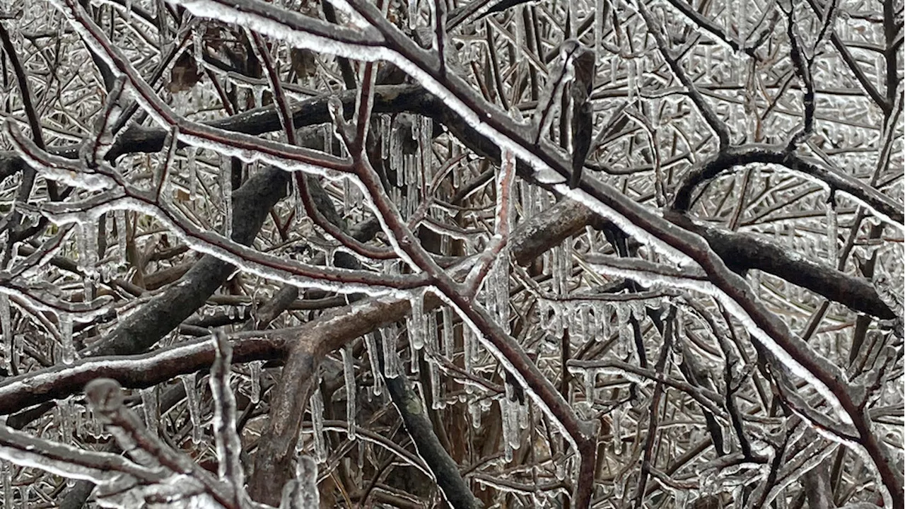 Winter Weather Threatens Texas Fans Traveling to Cotton Bowl