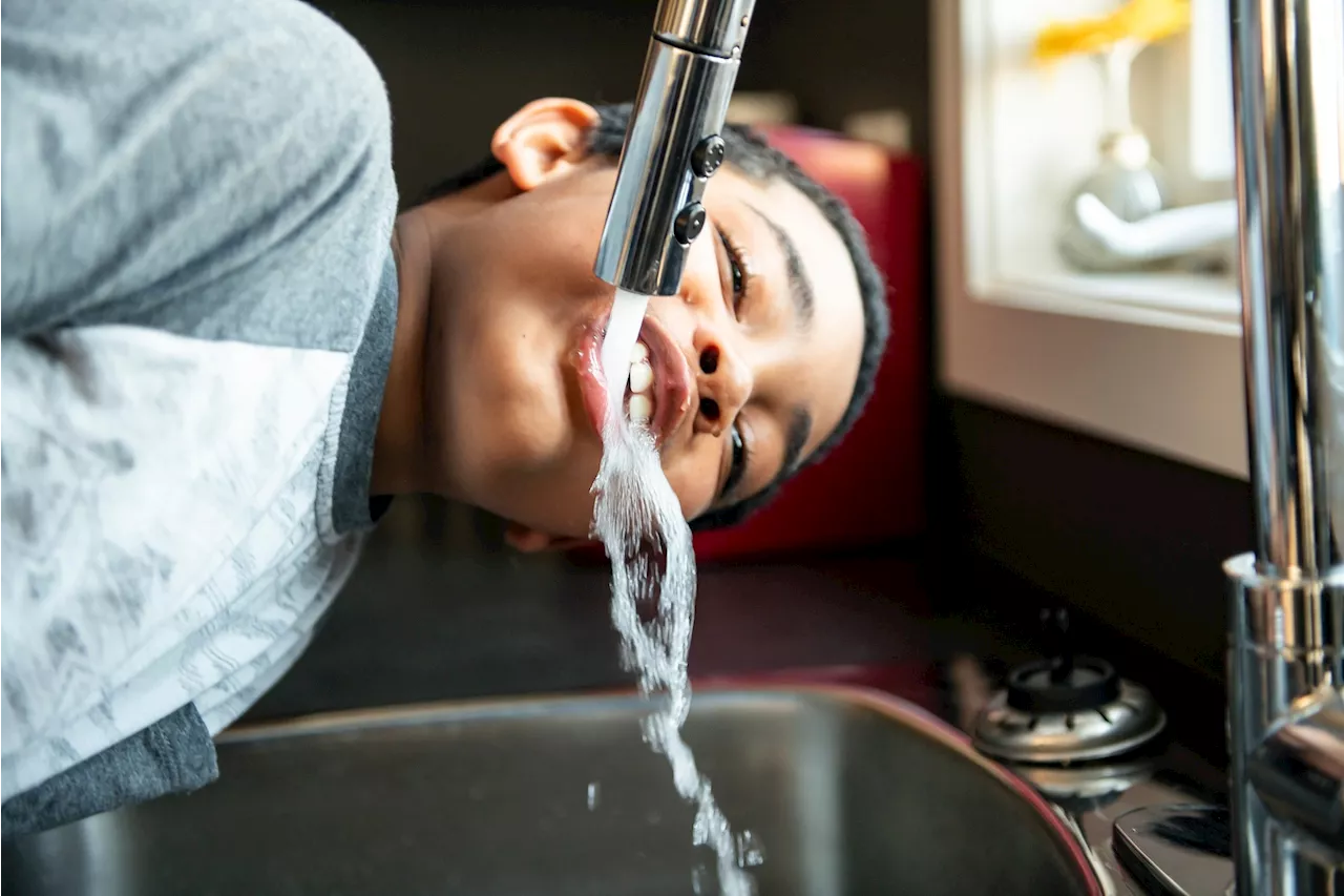 High Fluoride Exposure Linked to Lower IQ in Children, Study Suggests